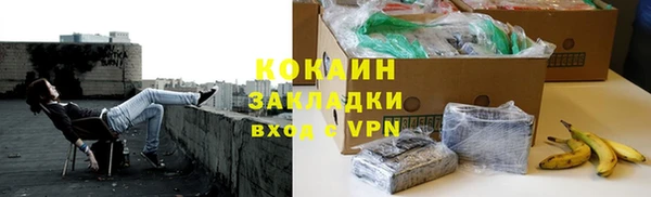 кокс Бородино