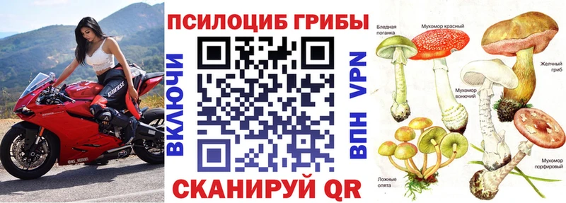 как найти закладки  Каргат  блэк спрут ССЫЛКА  Псилоцибиновые грибы мухоморы 